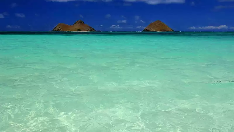һ����������������ʵ�����ں���