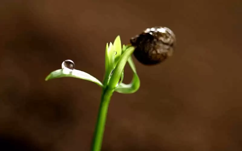 �Ȱ���������İ���ô��