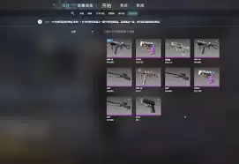 csgo���������￴