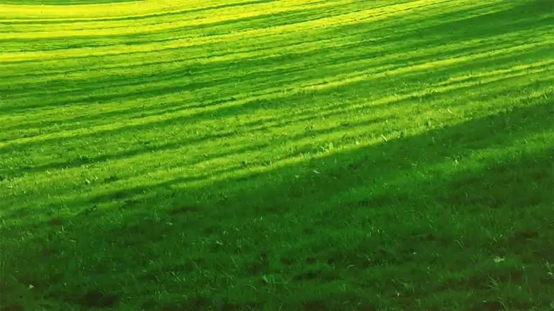 һ���и�ֵ�Ů������Ȧ������̫ͨ͸