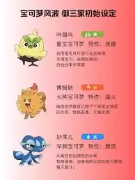 �����η粨��������ô����
