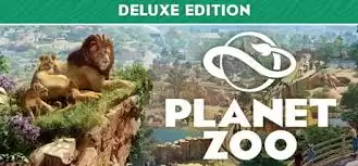 ��������ʲôʱ����