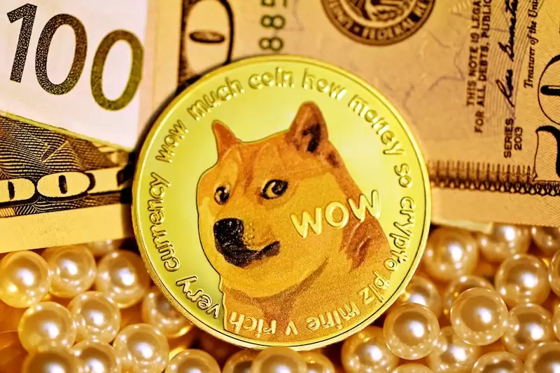 ʲô�ǹ����ң�doge�����Ƿ�ֵ��Ͷ�ʣ�DOGE�Ҽ۸�����Ԥ����δ��Ǳ������
