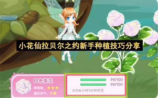 С����������֮Լ������ֲ���ɷ���