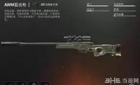 ��ƽ��Ӣ��AWM�ѻ���ǹ��ôʹ��