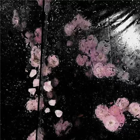 qq�����˸�Ů��������20186(��ѡ100��)