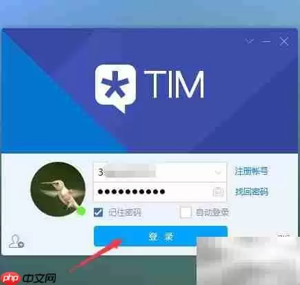 TIM�Զ������÷���