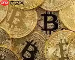 ������õ����ֻ���ƽ̨����Щ����