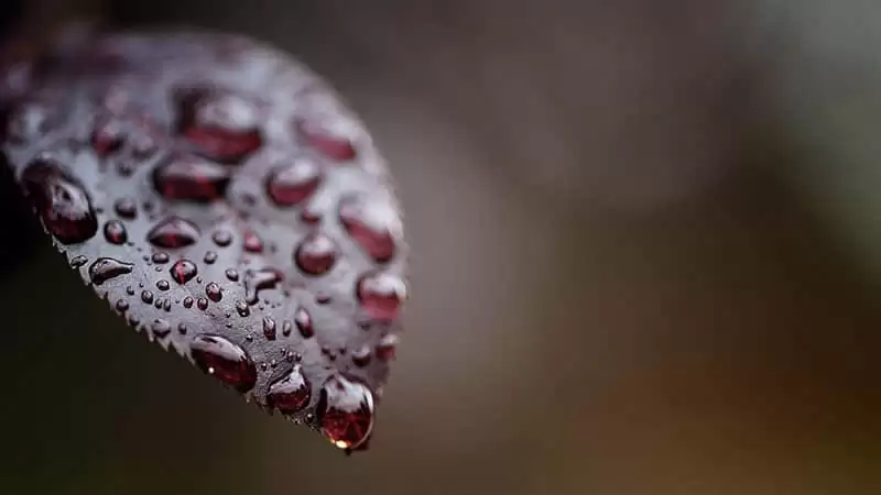 ӵ����������Ȧ�İ�
