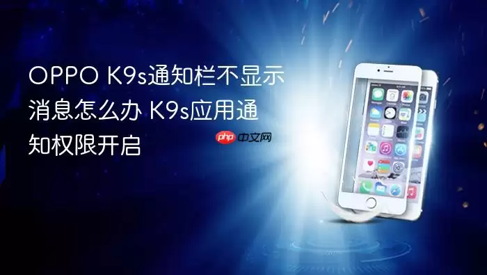 OPPO K9s֪ͨ������ʾ��Ϣ��ô�� K9sӦ��֪ͨȨ�޿���