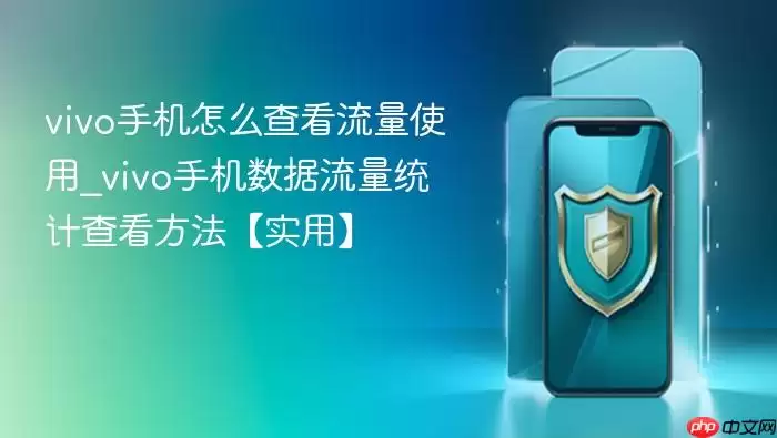 vivo�ֻ���ô�鿴����ʹ��_vivo�ֻ���������ͳ�Ʋ鿴������ʵ�á�