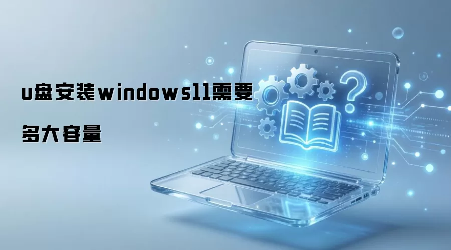 U��װWin11��Ҫ�����������ôѡ��