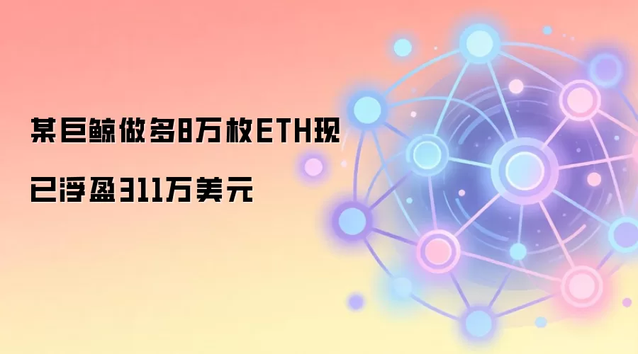 �޾���׬311��8��öETH���ʵ�ָ�ӯ��