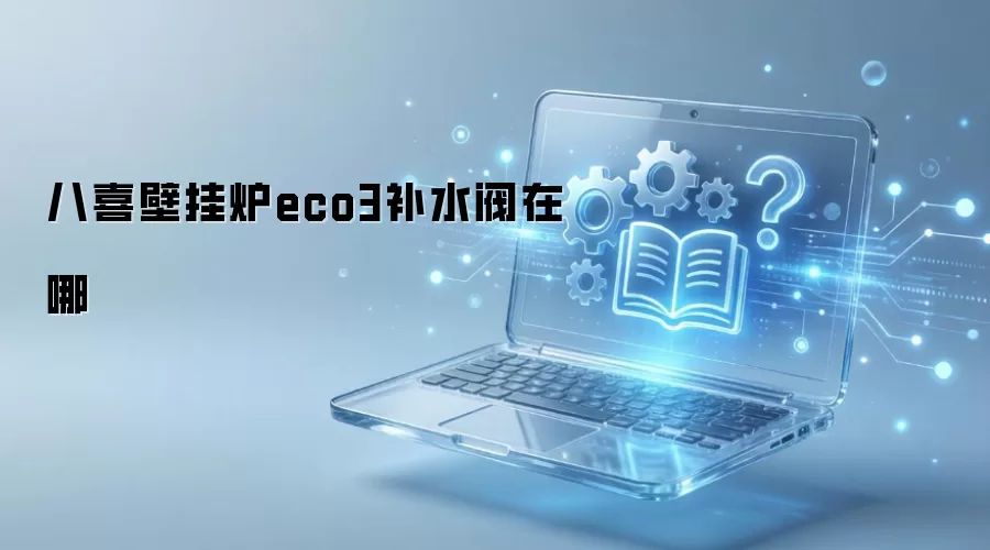 八喜壁挂炉ECO3补水阀位置查找与操作指南_wishdown.com 八喜壁挂炉eco3补水阀在哪