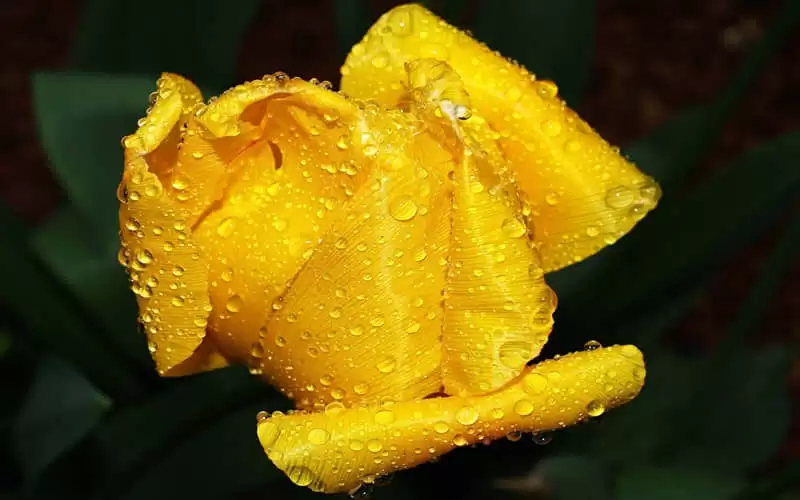 ���޼���ɻ��10�仰������Ҫ˵