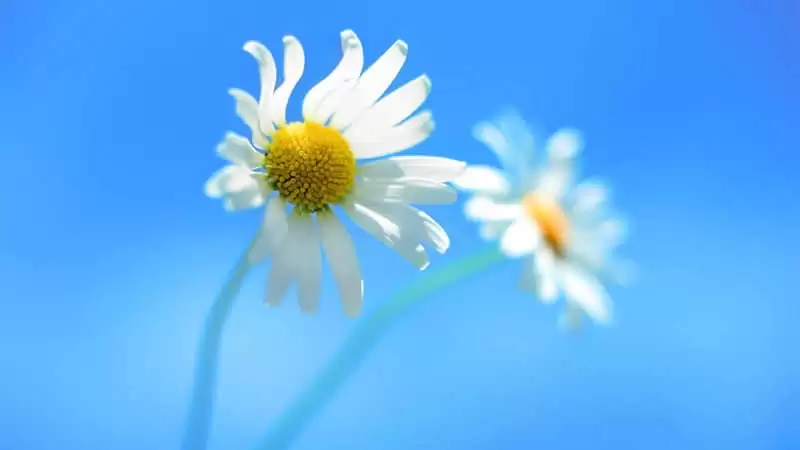 "�̲�ס�������۵��İ�"