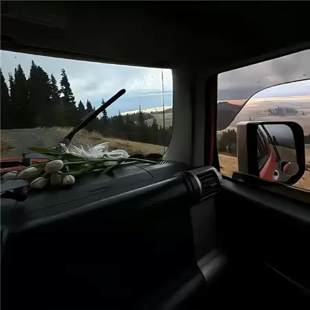�����˸и���Ӣ�������Ƽ�����ѡ100����