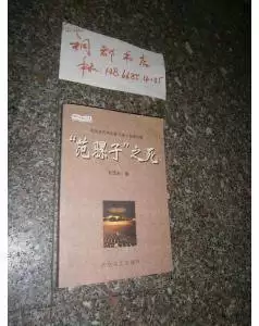 С˵д������ָ�ϴӹ�˼����ʵ���������