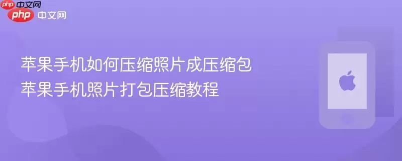 ƻ���ֻ���Ƭ���ѹ���̳� ����ѧ��ѹ����Ƭ��ѹ����