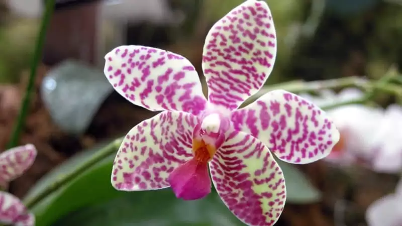 �ɾ��������İ��̾�߼����ʸ�С�ڲ���