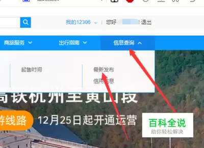 ��·12306��Ʊҳ����ʾѩ�農�ź���ʲô��˼