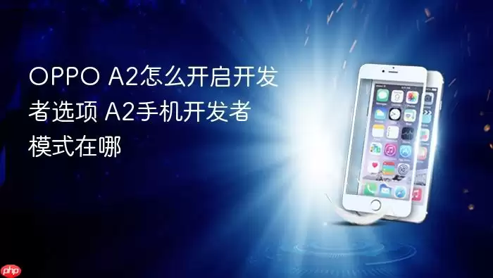 OPPO A2�ֻ�������ѡ����������