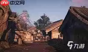 ����ʮ�����������һҶƽ��������ɹ���