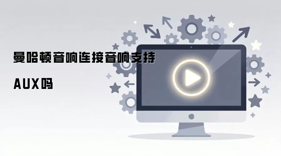 �����������Ƿ�֧��AUX�ӿ������豸