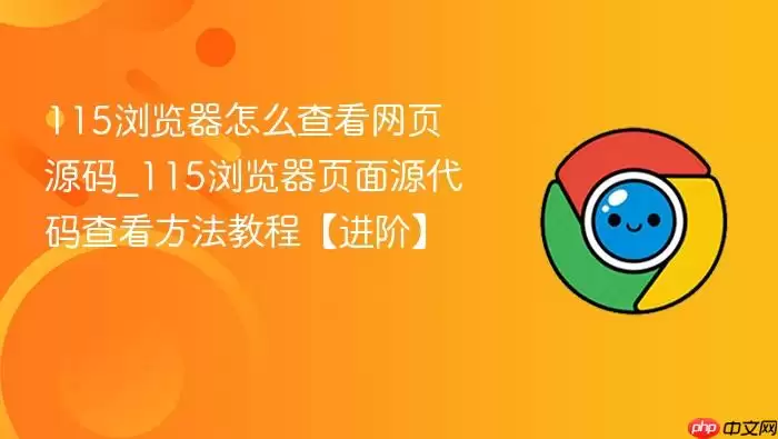 115������鿴��ҳԴ�������ϸ��������׼���