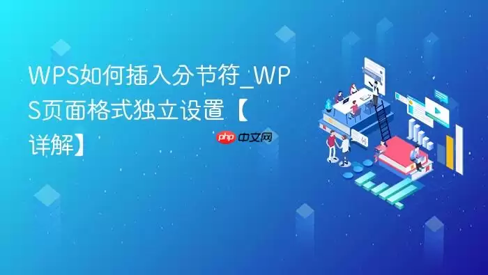 WPS�ֽڷ�����̳���ҳ���ʽ�����������