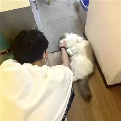 �ŷ����������̲�������ôȡ����ѡ100���Ƽ�
