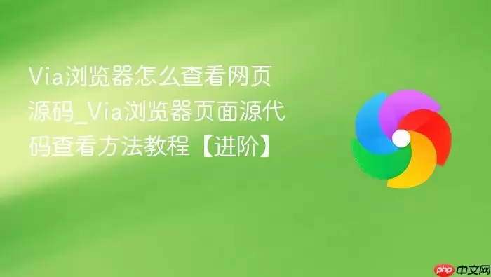 Via������鿴��ҳԴ�������ϸ��������׼���