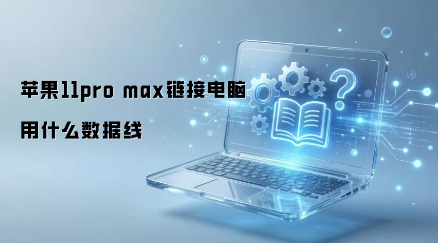 ƻ��11 Pro Max���ӵ���������ѡ����ʹ��ָ��