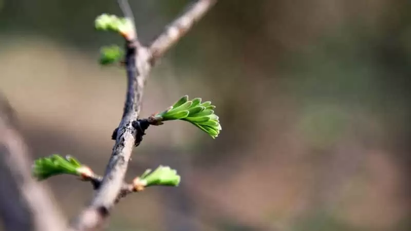ĸ�׽��İ���ô���ܰ���Ц��