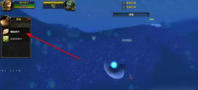 魔兽世界电鳗鱼片任务完成攻略6 魔兽世界电鳗鱼片任务完成攻略6