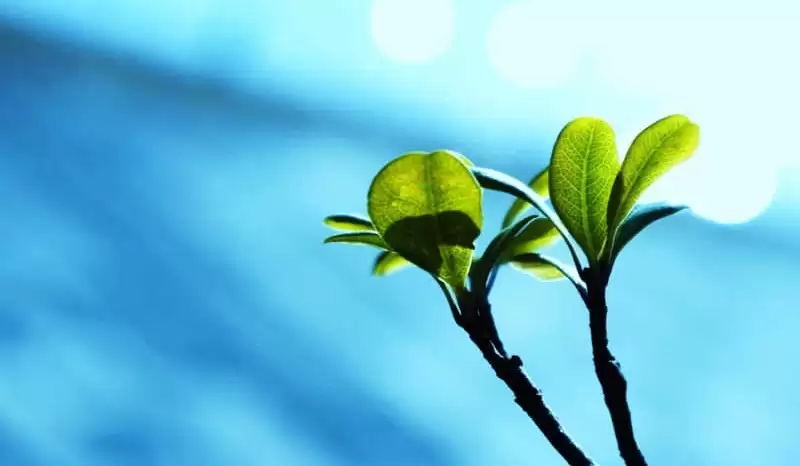 5月10号母亲节发一条不一样的朋友圈_wishdown.com 5月10号母亲节发一条不一样的朋友圈_wishdown.com