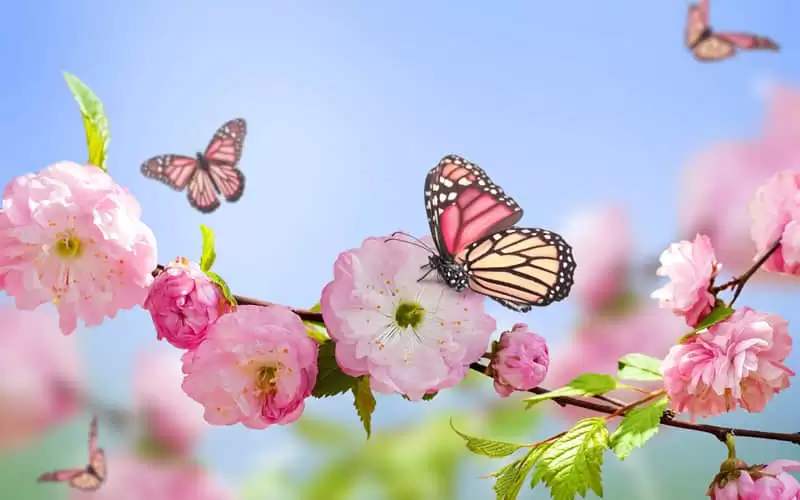 /. ĸ�׽�����Ȧһ��Ҫ������