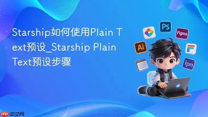 Starship Plain TextԤ�����ò������