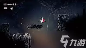 �ն���ʿ˿֮����Ը�����ݼ׳�������ô����
