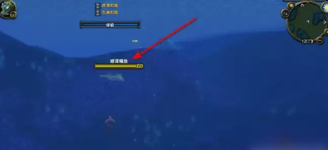 魔兽世界电鳗鱼片任务完成攻略3 魔兽世界电鳗鱼片任务完成攻略3