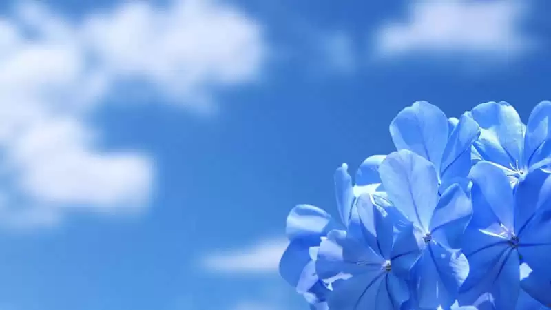5��10��ĸ�׽�����Ȧ��������ů��