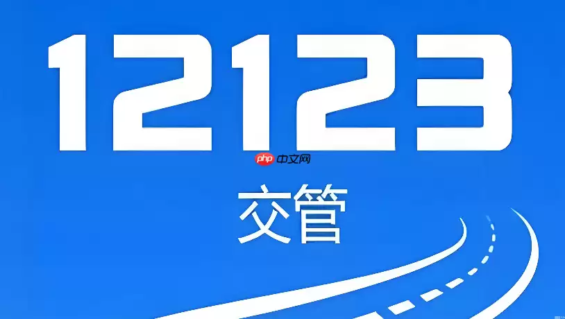 12123����APP���ְ�ģʽ����ָ�� רΪ�����򻯲�������