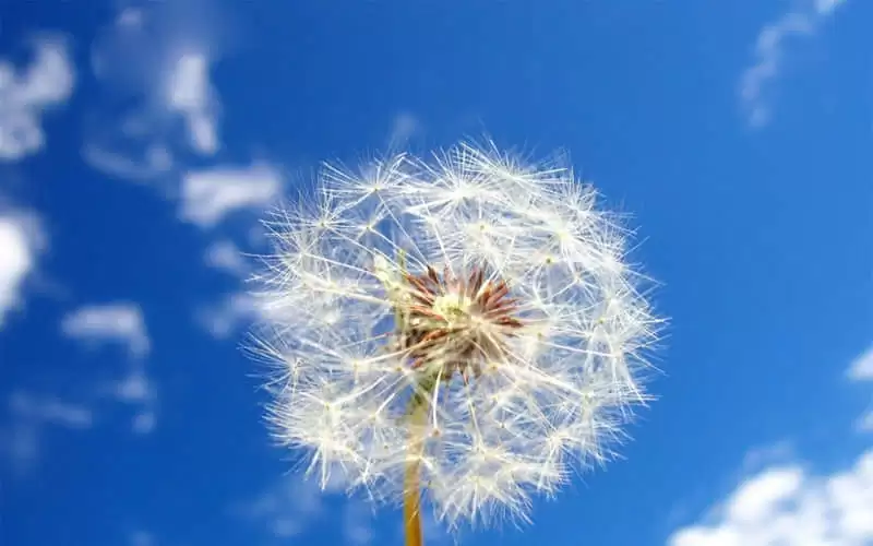 少管少说就是福越少越自在_wishdown.com 少管少说就是福越少越自在_wishdown.com