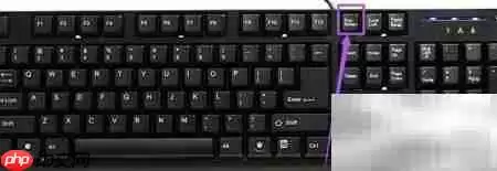 ���Խ�ͼ��ݼ�Print Screenʹ�ý̳�