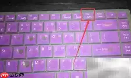 电脑截图快捷键Print Screen使用教程_wishdown.com Print Screen键截图教程