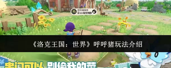 ��������������硷��������ô�棿ʵս���������