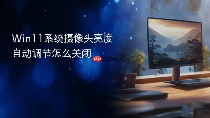 Win11�ر�����ͷ�Զ����ȵ��ڵ���ϸ����̳�