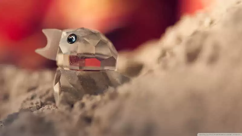 "����һ�з�����΢�������İ�"