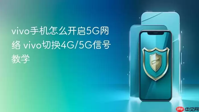 vivo�ֻ�5G���翪������ �л�4G��5G�ź���ϸ�̳�