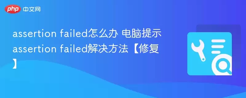 ������ʾassertion failed�������������